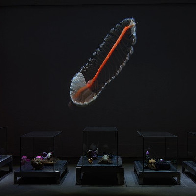 transnature Saarbrücken