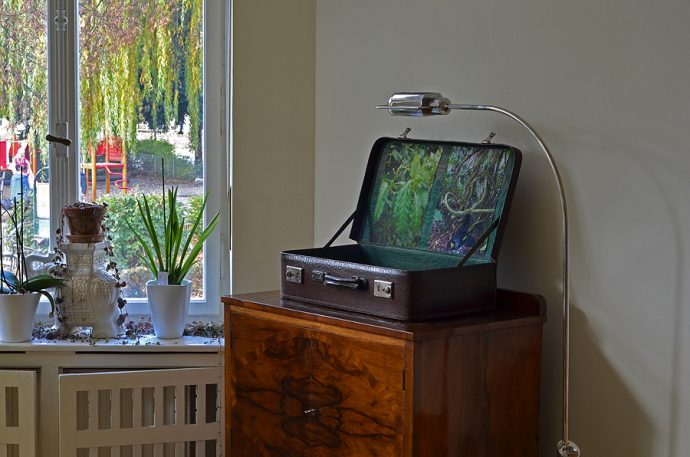 Stefan Zöllner - Vine of the dead - Koffer auf Kommode