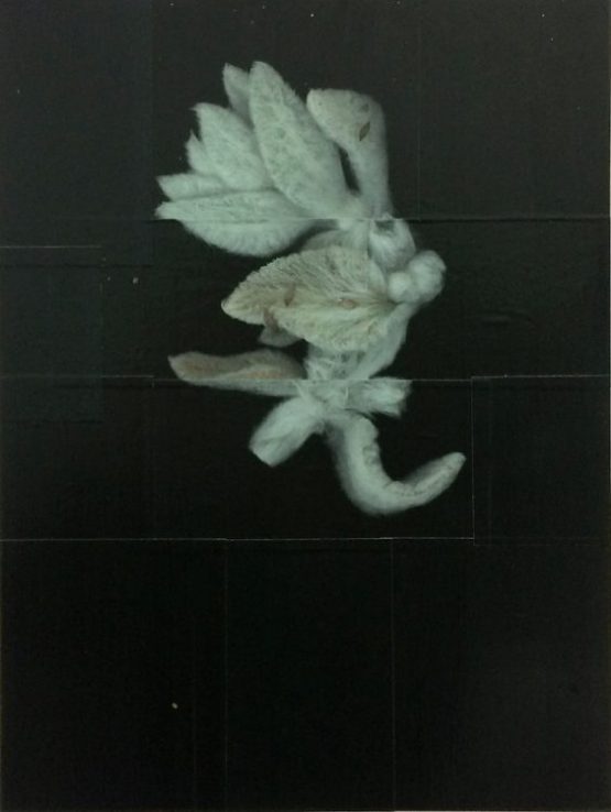 Andrea Esswein: Eselsohr 3