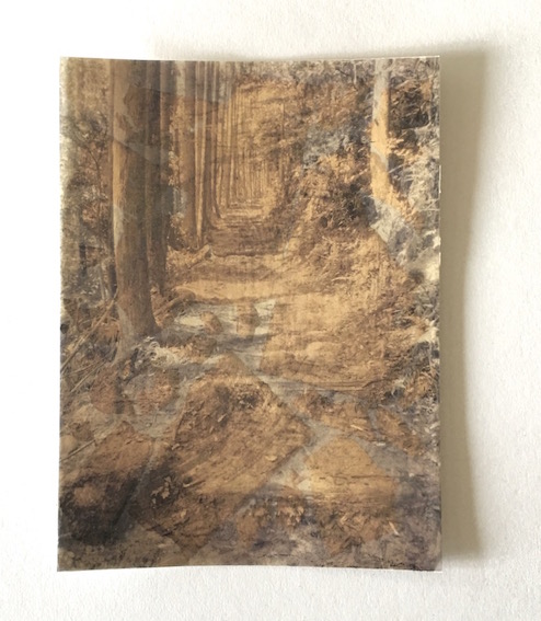 Mitsuko Hoshino Utsushi – Die andere Seite 06