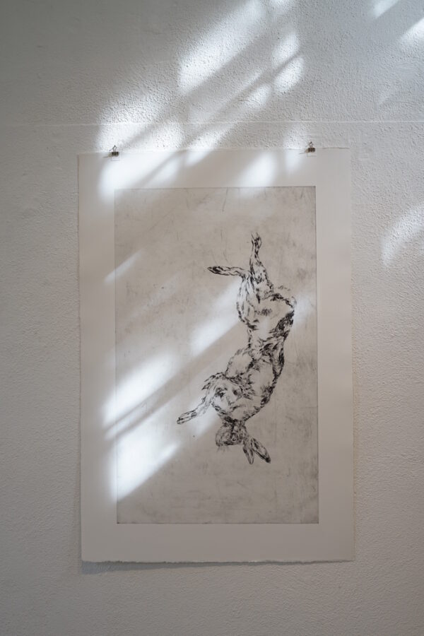 Vroni Schwegler, hängender Hase, Kaltnadelradierung, 2017