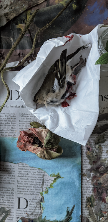 Vroni Schwegler - Fotografie 2023