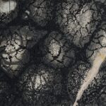 Alexander horn - Kryptochrom V, 2024/25, Acryl/Hartfaser, ca. 10 x 15